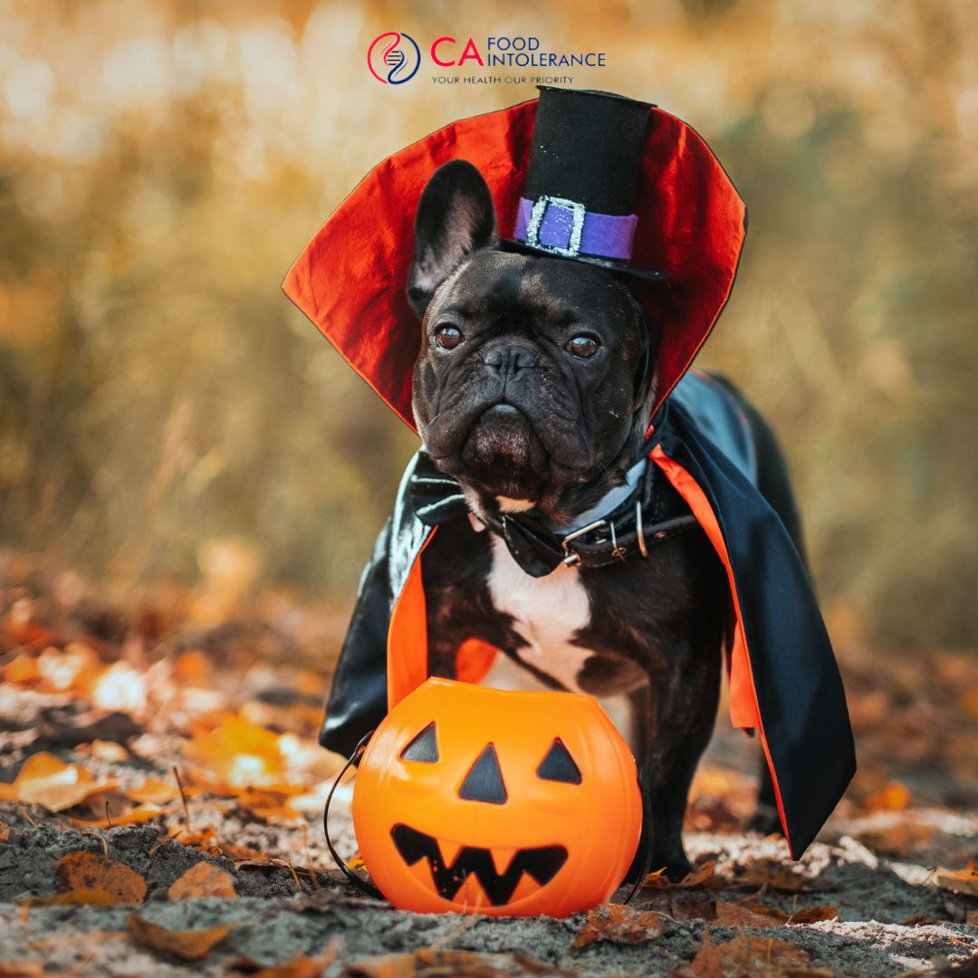 pet food intolerance test