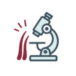 Laboratory Analysis